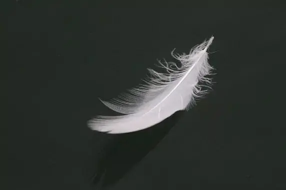 图片[2]-想要逆天改命？就得先学会选择和做人！-探险家资源网