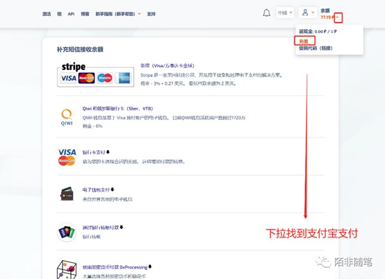 图片[8]-ChatGPT注册教程-探险家资源网
