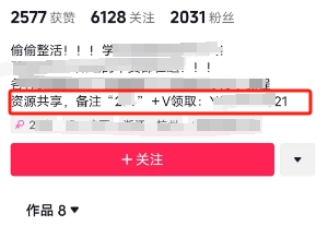图片[6]-抖音最常用的几种引流方式，私域持续引流且不违规的5个小技巧！-探险家资源网