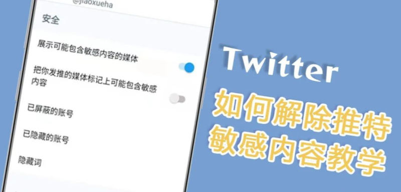 Twitter 如何用手机解除推特敏感内容限制,苹果手机推特怎么查看敏感内容教程-探险家资源网