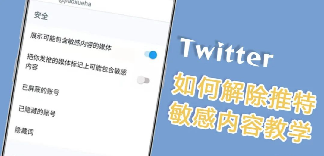 Twitter 如何用手机解除推特敏感内容限制，苹果手机推特怎么查看敏感内容教程-探险家资源网