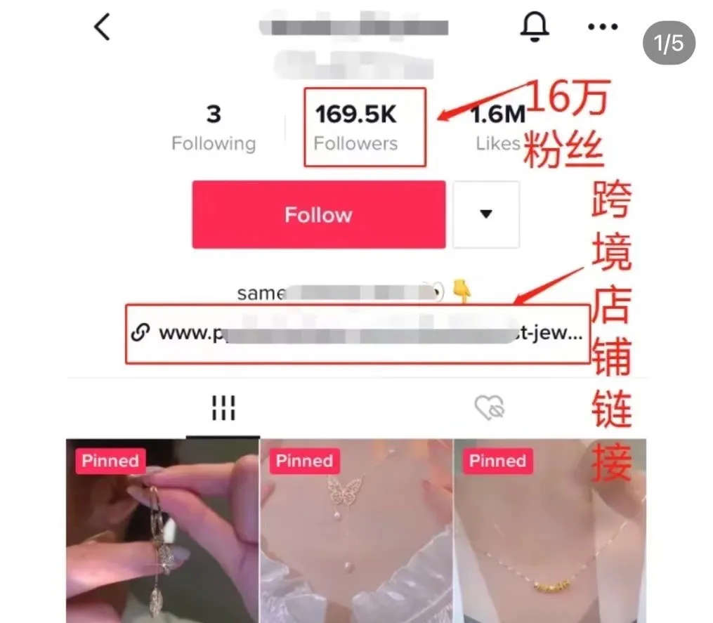 图片[9]-普通人就别在折腾了，错过TikTok才是你的福气！-探险家资源网