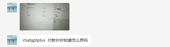 图片[4]-ChatGPT-Plus在线代充、账号升级、续费 | 无需提供账号密码、质保30天-探险家资源网